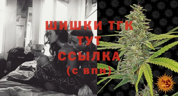дживик Нягань