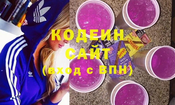 спиды Няндома